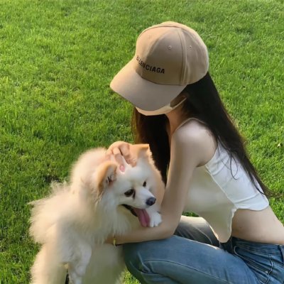 夏日的玫瑰